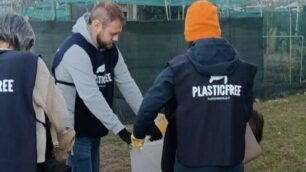 Alcune fasi della raccolta a  Monza