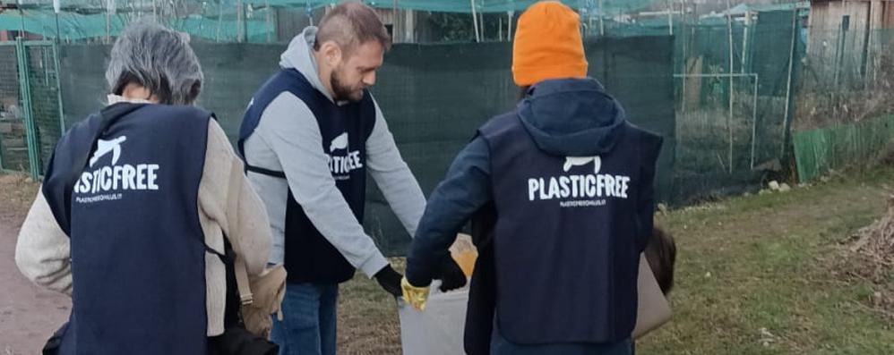 Alcune fasi della raccolta a  Monza