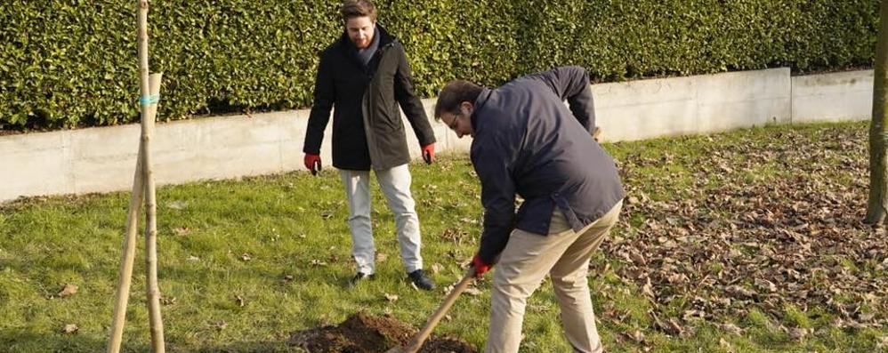 Il sindaco Alberto Rossi e Massimiliano Riva, presidente di Gelsia durante la messa dimora dei primi alberi del parco