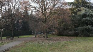 Una dei diversi parchi a verde sul territorio di Seregno