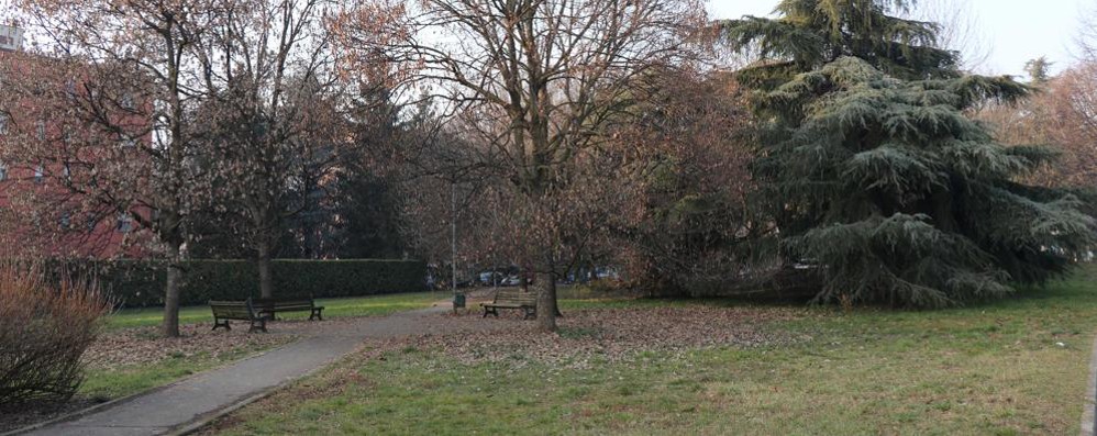 Una dei diversi parchi a verde sul territorio di Seregno