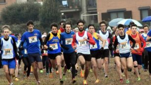 DESIO CAMPESTRE CAMPIONATO BRIANZOLO - foto d’archvio