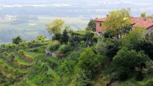 Il parco di Montevecchia