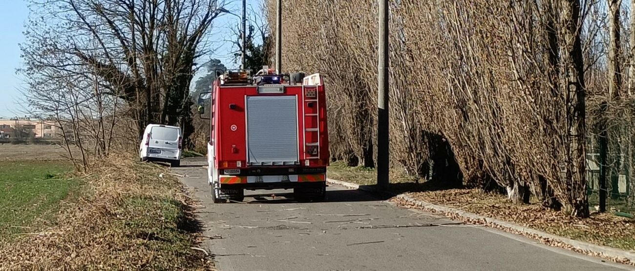 BOSCHERONA incendio al laghetto intervento due mezzi dei Vigili del fuoco