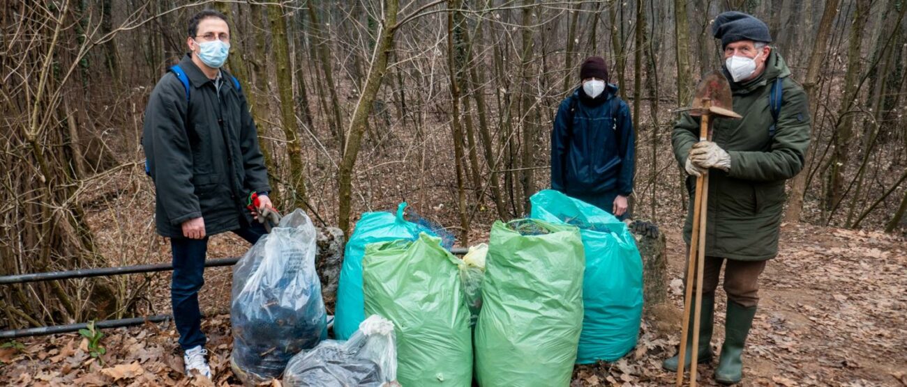 Rimozione delle reticelle al parco di Monza