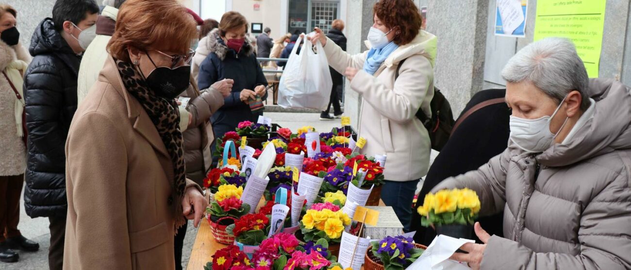 Un banchetto con le primule della "giornata per la vita" sui sagrati delle chiese (foto Volonterio)