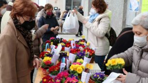 Un banchetto con le primule della "giornata per la vita" sui sagrati delle chiese (foto Volonterio)