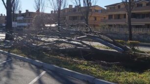 PADERNO - VENTO pioppo caduto in via serra di fianco al santuario