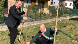 Correzzana ulivo Lions Club Alessio Varisco e Marco Beretta