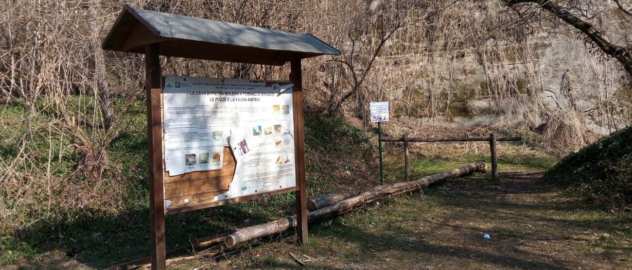 briosco - atti vandalici stagno della molera