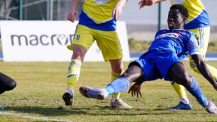 Zè Gomes