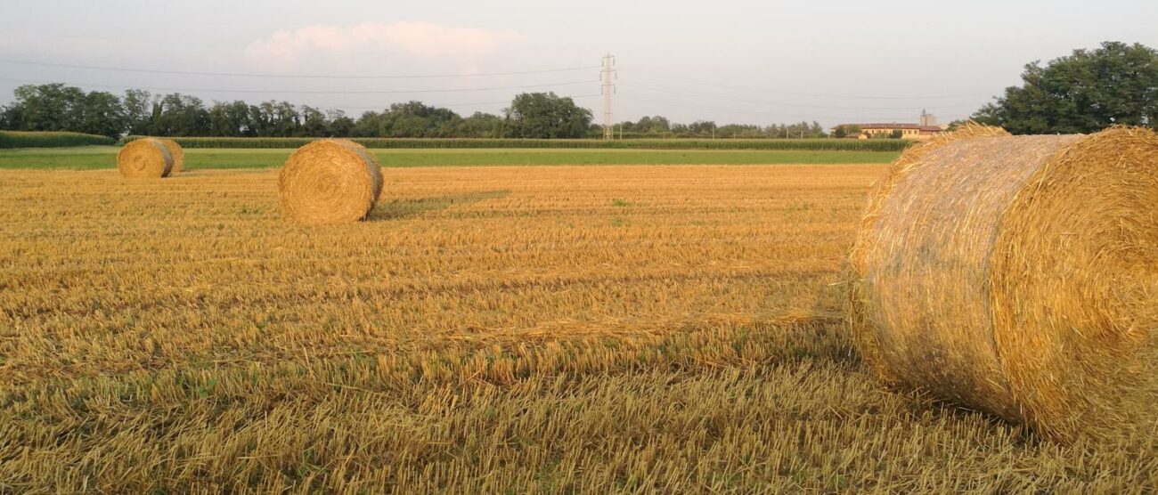 Un campo agricolo in Brianza