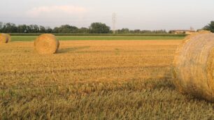 Un campo agricolo in Brianza