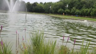 Il laghetto del Bosco Urbano