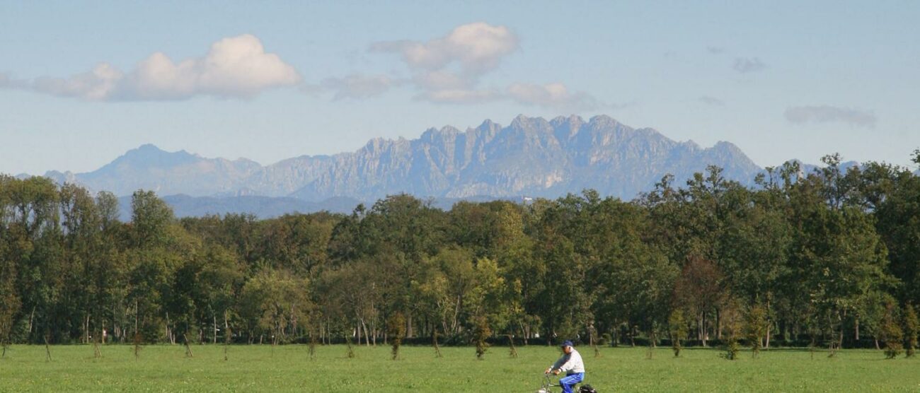 La Grigna vista dal Parco di Monza