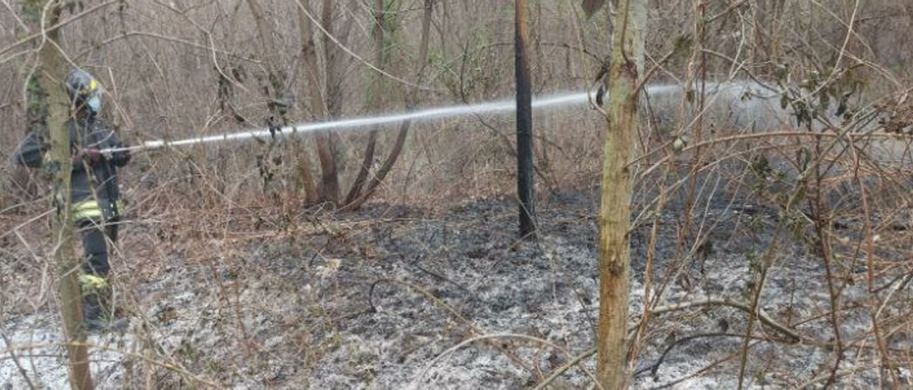Incendio sterpaglie a Limbiate (foto vigili del fuoco)