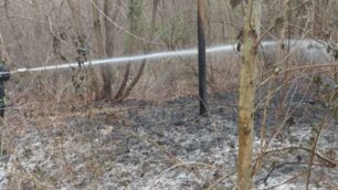 Incendio sterpaglie a Limbiate (foto vigili del fuoco)