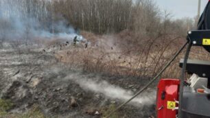 Incendio sterpaglie a Limbiate (foto Vigili del fuoco)