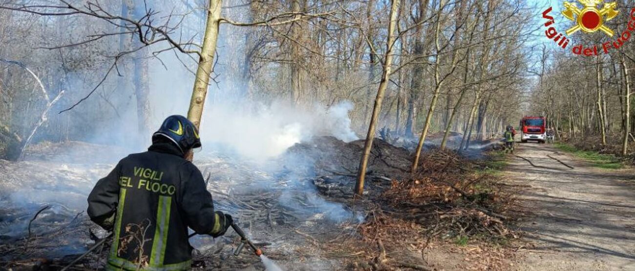 Vigili del fuoco incendio sterpaglie parco Monza - foto Vigili del fuoco