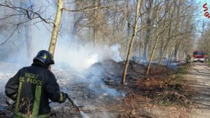 Vigili del fuoco incendio sterpaglie parco Monza - foto Vigili del fuoco