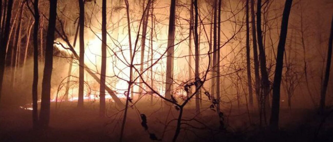 Incendio nel Parco Groane (foto Vigili del Fuoco)