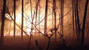 Incendio nel Parco Groane (foto Vigili del Fuoco)