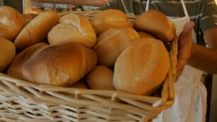 Panettiere