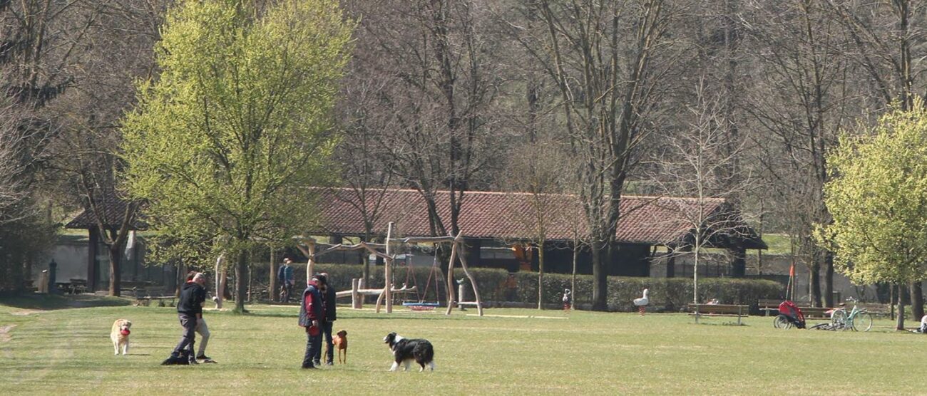 MONZA cani al parco - foto d’archivio