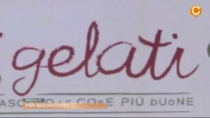 È brianzolo il miglior gelato gastronomico d’Italia per il Gambero Rosso: l’Albero dei gelati si racconta
