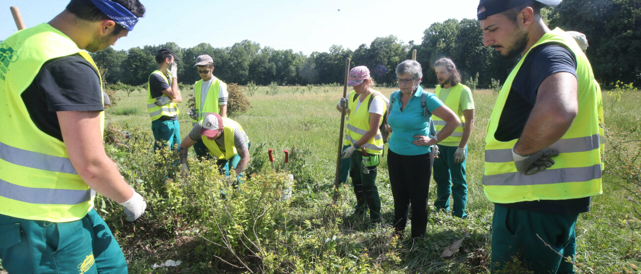 La Scuola d'Agraria del Parco di Monza