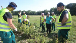 La Scuola d'Agraria del Parco di Monza