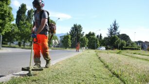 Manutenzione del verde a Biassono