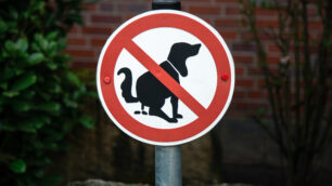 Regole per la pulizia dei bisogni dei cani in strada
