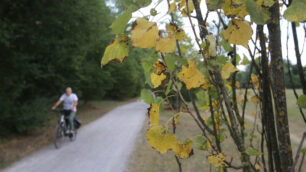 Parco di Monza stress idrico