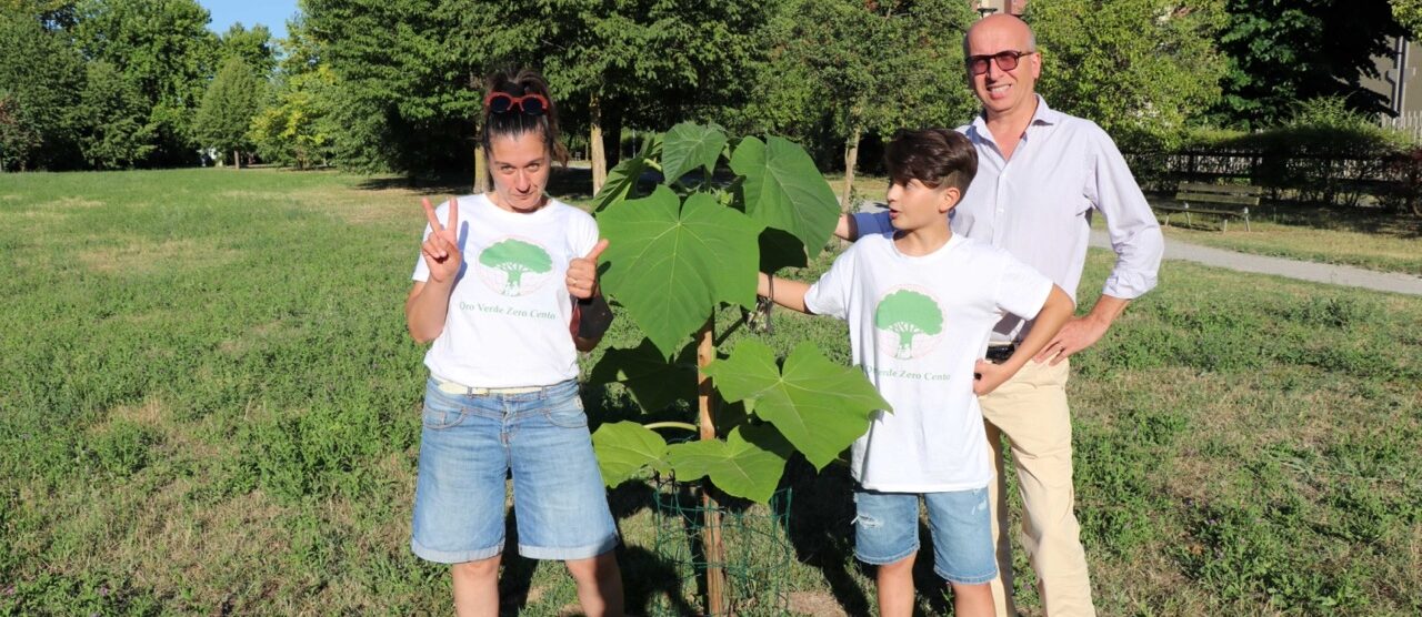 Associazione Oro Verde Seregno Paulownia