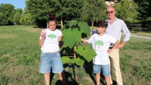 Associazione Oro Verde Seregno Paulownia