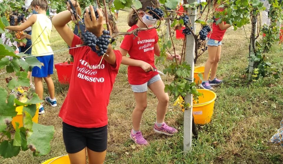 Vendemmia Biassono