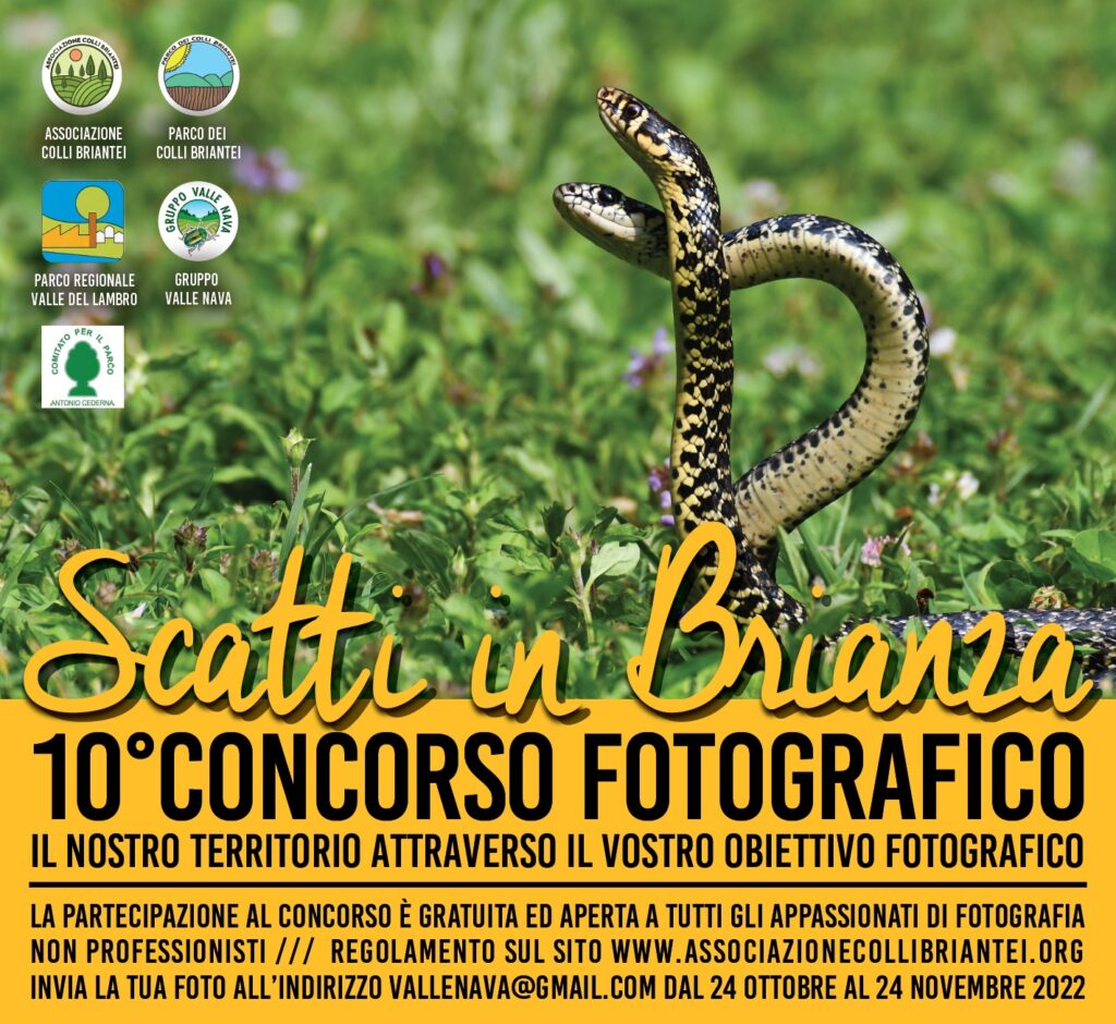Scatti in Brianza 2022