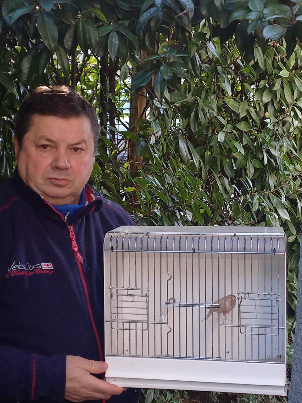 Besana in Brianza campione mondiale di ornitologia - Il Cittadino di