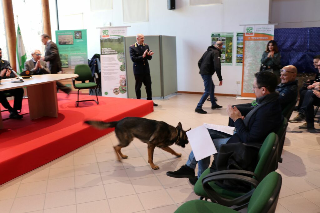 Meda progetto parco Groane dimostrazione cane Ultimo