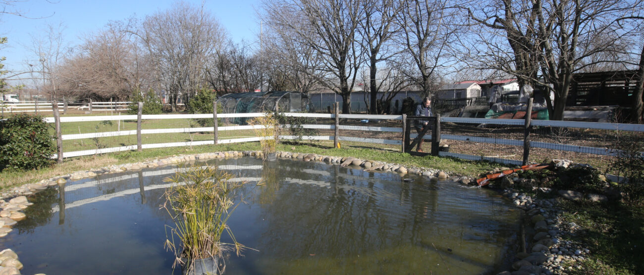 L'Oasi della biodiversità dell'Enpa a Monza