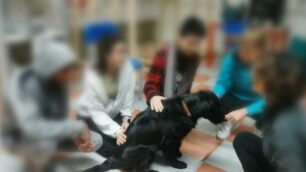 Istituto Meroni Lissone Pet Therapy