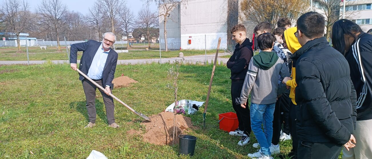 Lissone scuola ulivi