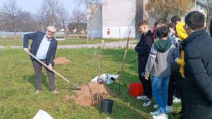 Lissone scuola ulivi