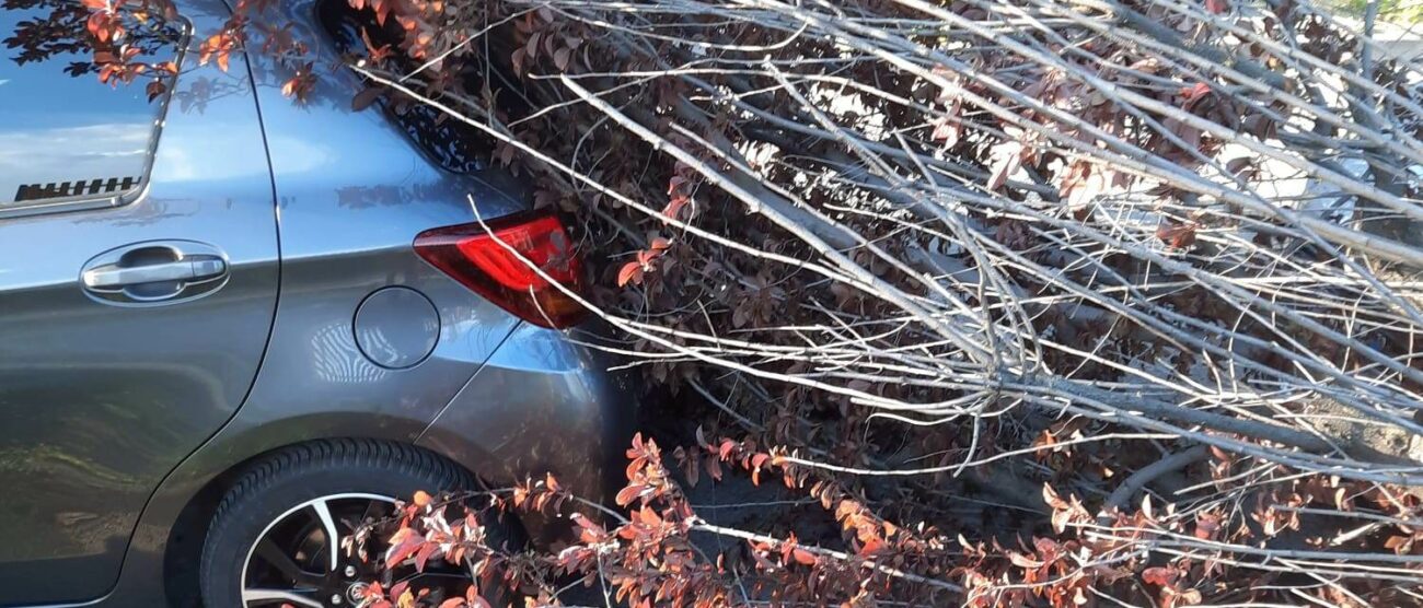 Paderno Dugnano vento alberi caduti su auto