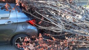 Paderno Dugnano vento alberi caduti su auto