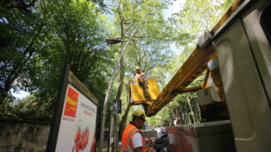 Monza Istallazione lampioni boschetti reali