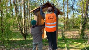 Macherio Associazione Amici del Paese e Bosco dei proverbi