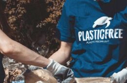 Plastic Free a Lissone