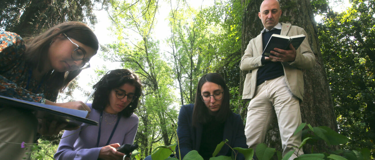 Monza Ricercatori universitari Milano Bicocca impegnati nella catalogazione delle piante del parco per realizzare un erbario